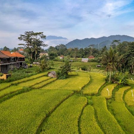 Ume dukuh home sidemen Sidemen  Bagian luar foto